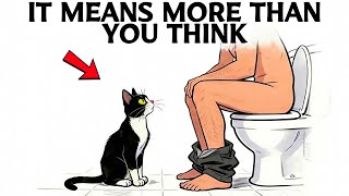 If Your Cat Follows You to the Bathroom, They’re Trying to Tell You This…