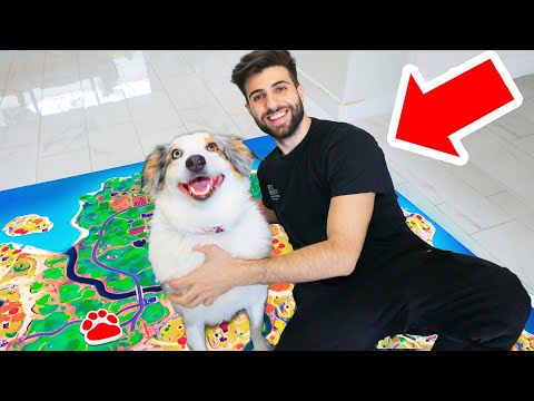 Using My PUPPY To Control My Fortnite Game!