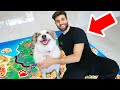 Using My PUPPY To Control My Fortnite Game!