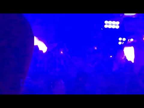 Purple Disco Machine