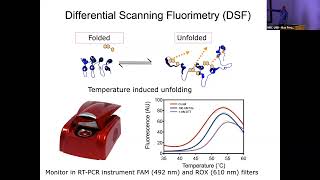 Fluorescence Spectroscopy and Microscale Thermophoresis – Stephen McLaughlin