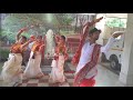 Tomaro Ashime || Baishe Srabon || Rabindra Nritya || Dance Cover || Pallabi