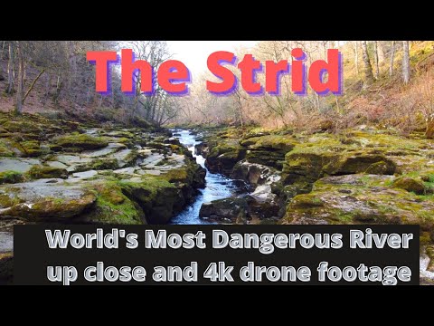 The World's Most Dangerous Stretch of River - The Strid in North Yorkshire, UK