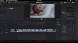 Handheld Camera - Details