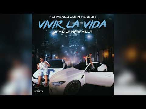 David La Maravilla - Vivir La Vida "FT. Flamenco Juan Heredia"