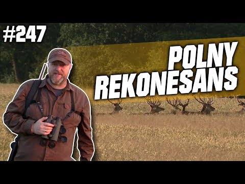 Darz Bór odcinek 247 - Polny Rekonesans