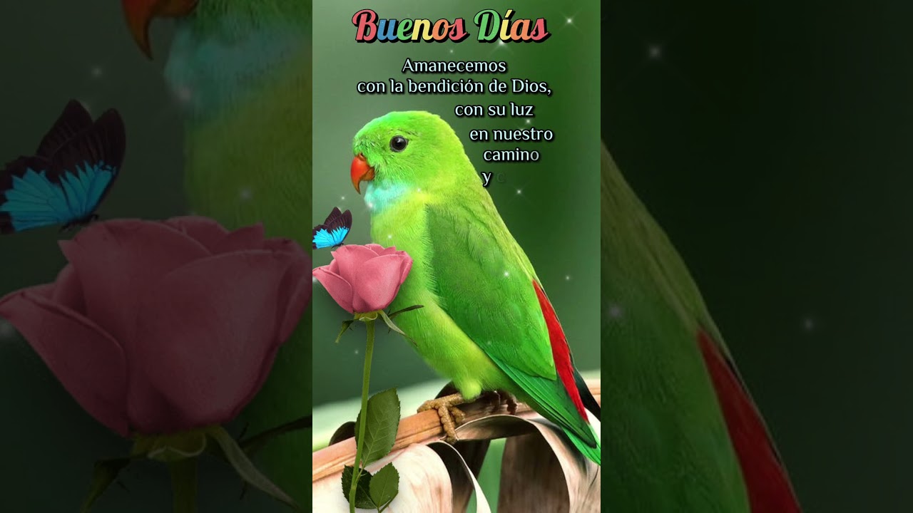 ¡Buenos días! Que tengas un maravilloso día y que la bendición de Dios te acompañe. Feliz día