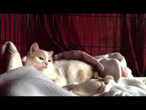 More Mary Frances a week later