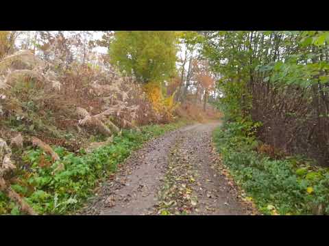 HAMNVÄGEN - grusvägen upp mot gamla PÅTORPS GÅRD (MC Hökarnas ställe) - RONNEBY - 211029 - Motorola