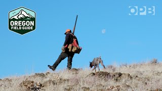 Chukar hunting in Oregon | Oregon Field Guide
