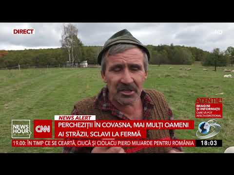 Rețea de sclavi la ferme din Covasna. Taximetriștii luau oameni ai străzii și îi vindeau ciobanilor