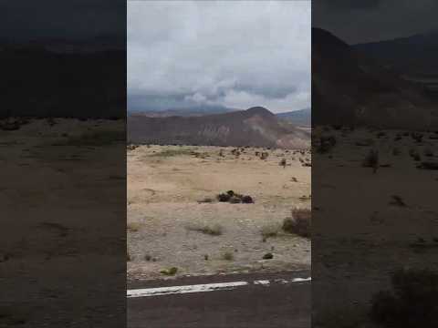 Retornando del Pueblo Ticnamar (Región Arica-Parinacota)