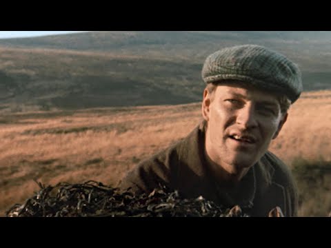 The Field (1990) ORIGINAL TRAILER [HQ]