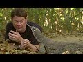 Monitor Lizard LICKS Steve S Eye Deadly 60 BBC Earth