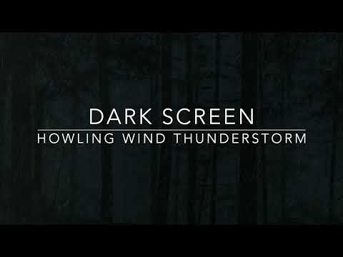 ⛈️ Dark Screen Howling Wind Thunderstorm Sound - 1 hour Rain Sounds for Sleep ⚡