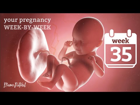 35 Weeks Pregnant - Natural Pregnancy Week-By-Week