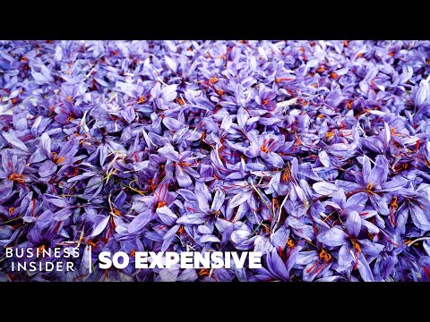 Saffron - the Most Expensive Spice on Earth