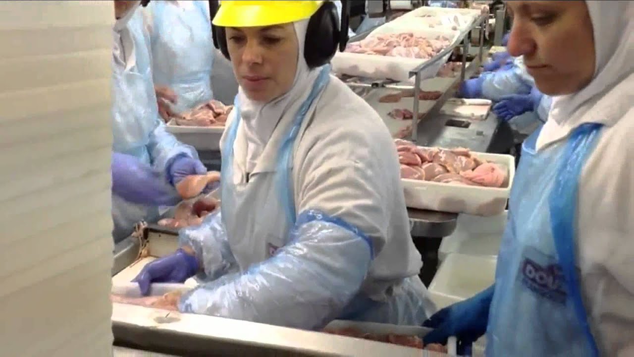 2º frigorífico visitado por força-tarefa do MPT e MTE