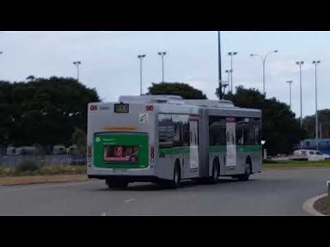 Transperth TP1338, TP2312 & TP3004 @ Roger Mackay Drive,Burswood