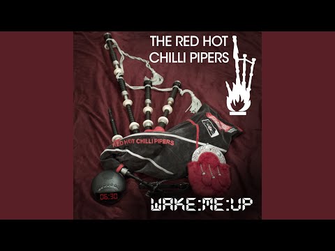 Wake Me Up