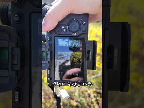 [2026새영천알림이단✨] &#39;인생샷&#39;을 남길 수 있는 봄나들이 명소