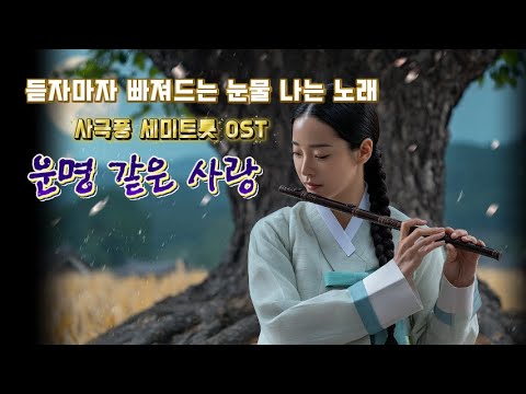 중년들의 가슴을 울리는 노래/운명 같은 사랑 /  #사극ost #발라드 #세미트롯 #그리움 #사랑