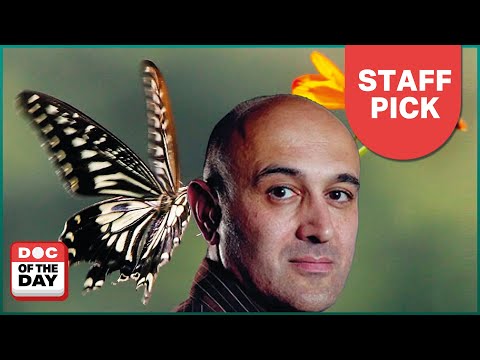 Exploring Chaos Theory: How Life Finds Order | Doc Of The Day