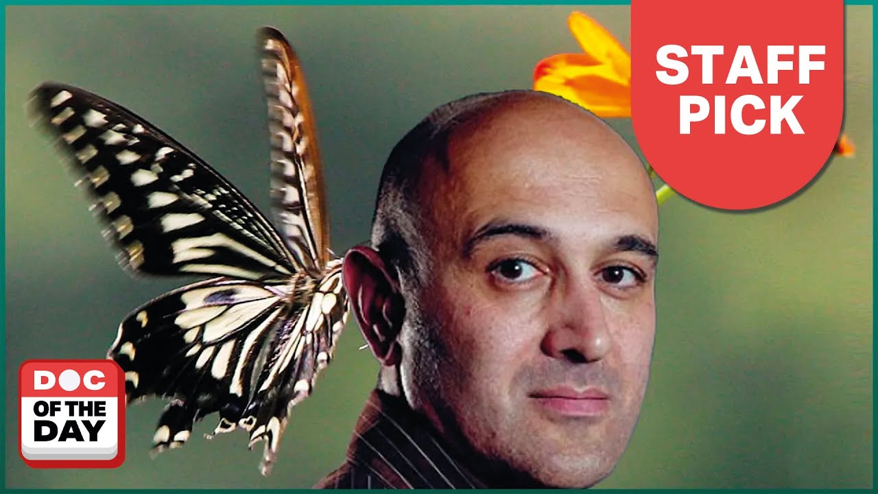 Dive into Chaos Theory with Doc of the Day