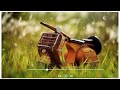 Kitni Hasrat Hai Hame Tumse Dil Lagane Ki Whatsapp Status Fawa Creation