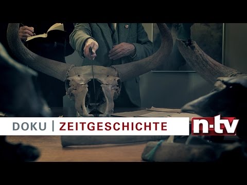 Trailer n-tv Doku „Hitlers Jurassic Park“ am 12.03.2016 bei n-tv und online bei TV NOW
