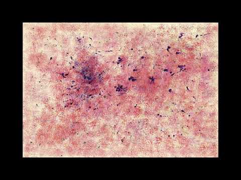 Horatiu Radulescu - Cinerum, op. 108 [recording]