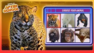 Choose Your ANIMAL! 🐯🐒 Our Living World | Netflix After School