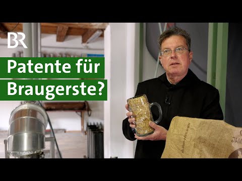 Patent auf Braugerste: Widerstand bei Gerstenzüchtern und kleinen Brauereien | Unser Land | BR
