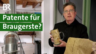 Patent auf Braugerste: Widerstand bei Gerstenzüchtern und kleinen Brauereien | Unser Land | BR