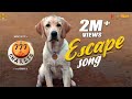 Escape Song 777 Charlie Rakshit Shetty Kiranraj K Nobin Paul Paramvah Studios