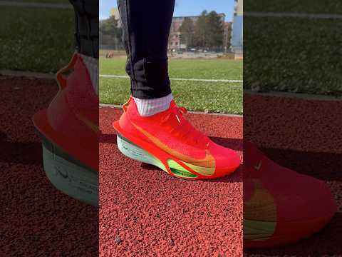 Nike Alphafly 3 🏃‍♂️#nikealphafly #alphafly3 #alphafly #running #sneakers #sports #shoes #run #shoe