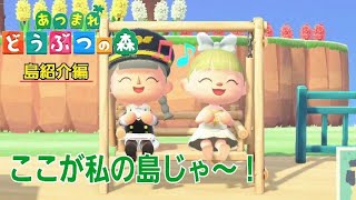【あつまれどうぶつの森】発展途上のうちの島見る？