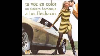 CECILIA ANN el hombre que confundía los sentidos