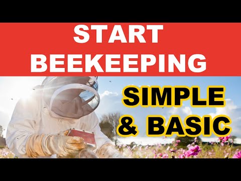 Beekeeping For Beginners - Simple & Basic