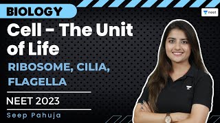 Cell: The Unit of Life | Ribosome, Cilia, Flagella | NEET 2023 | Seep Pahuja | Unacademy NEET