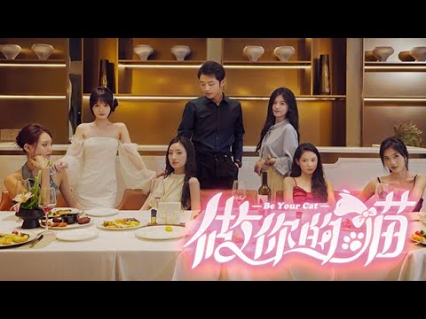 Trailer de Beyourcat