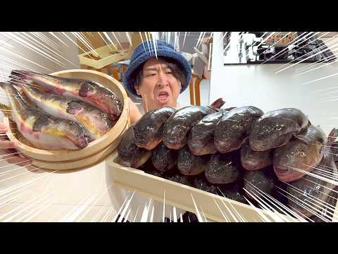 格下扱いの真ふぐを本気で調理した結果