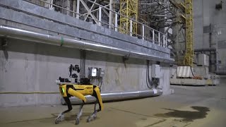 Robot dog sent into Chernobyl to sniff out radiation