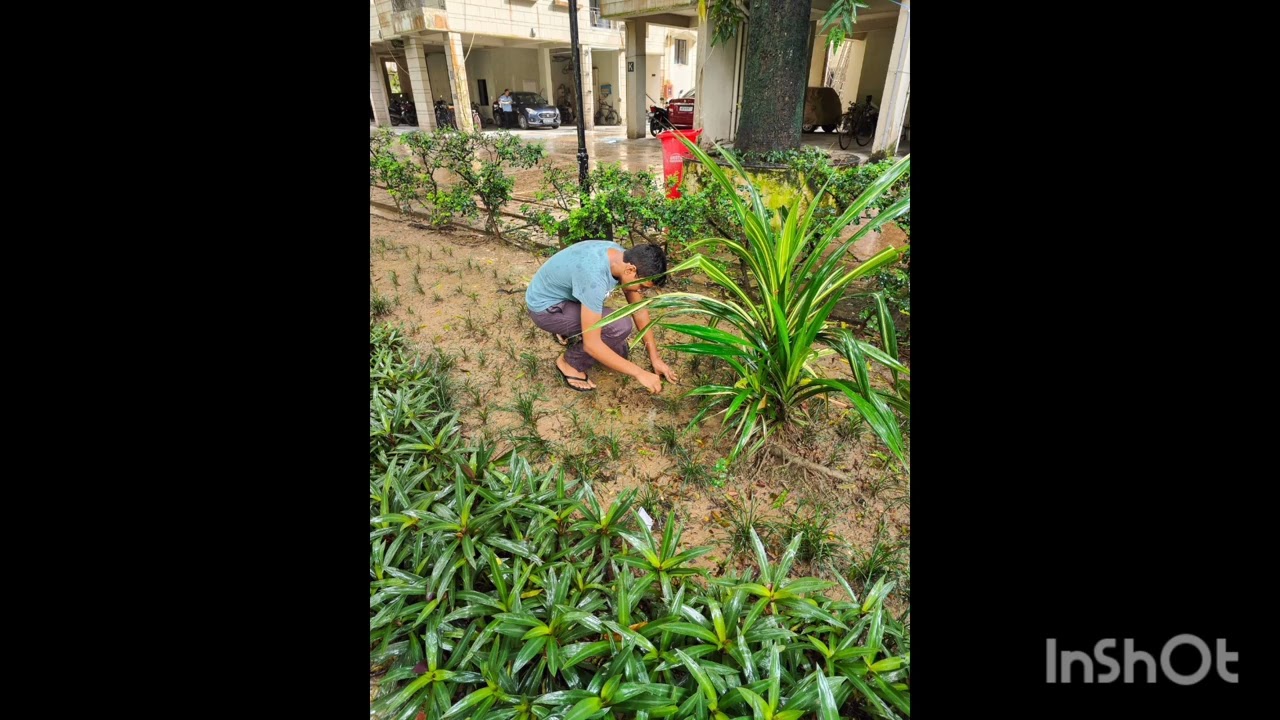 Drip Irrigation Activity 