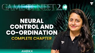 Neural Control and Co-ordination