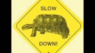 Neil Diamond-Slow it Down