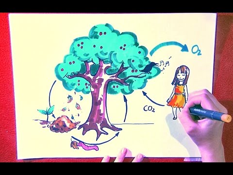 download lagu mp3 mp4 Cradle To Cradle Book Pdf, download lagu Cradle To Cradle Book Pdf gratis, unduh video klip Cradle To Cradle Book Pdf