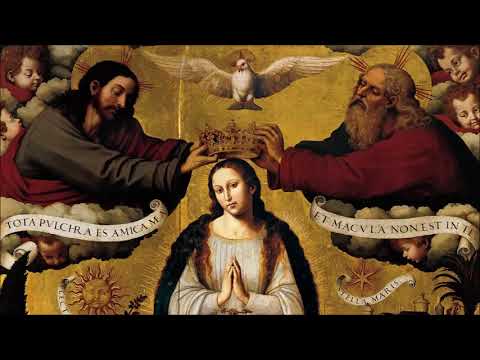 DEUS FEZ MARIA (Ir. Kelly Patricia) - CATÓLICA