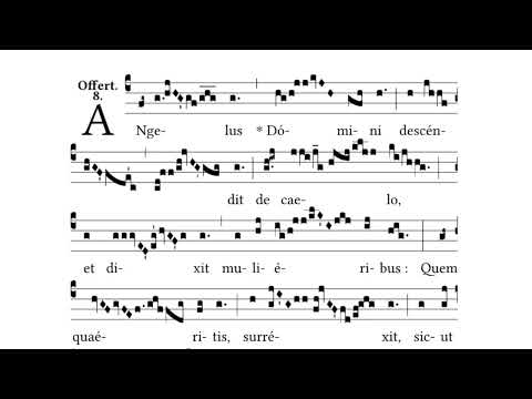 Angelus Domini descendit • Offertory