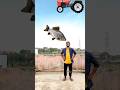 Biscuit Fish Dairy Milk Icecream Vs Red Chilli Pacman Funny Vfx Magic
